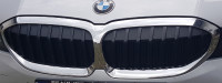 BMW G20 chrome grill