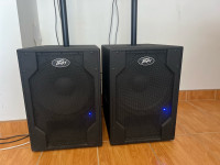 PEAVEY  PVX 15 SUB