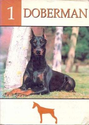 Doberman