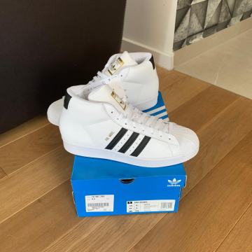 ADIDAS PRO MODEL FV5722 - br:44