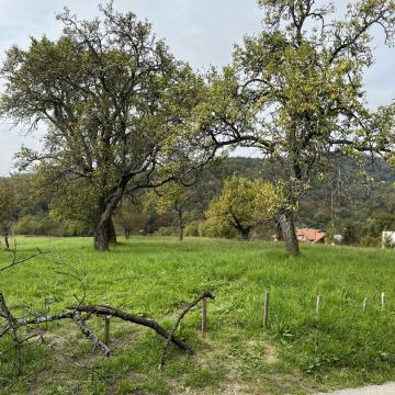 Pretežno poljoprivredno zemljište s građevinskim, 1200 m2