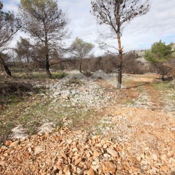 Vodice, maslinik s mogučnošću gradnje