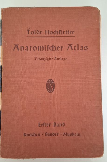 Anatomischer atlas, Ferdinand Hochstteter