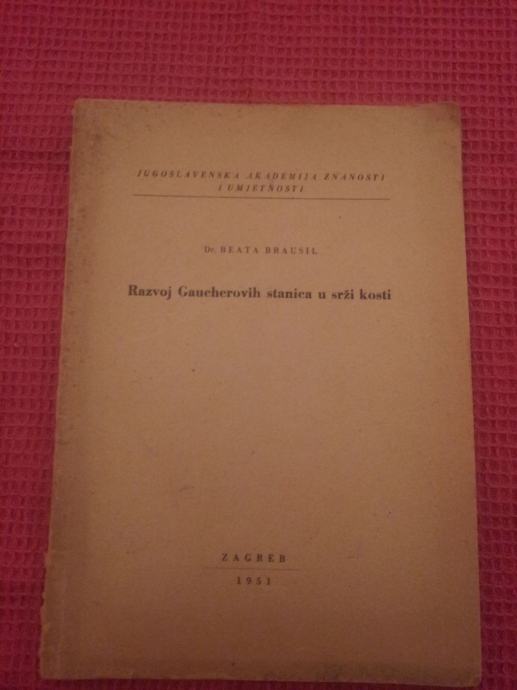 MEDICINA: RAZVOJ GAUCHEROVIH STANICA   MEDICINSKI LEKSIKON 1956.