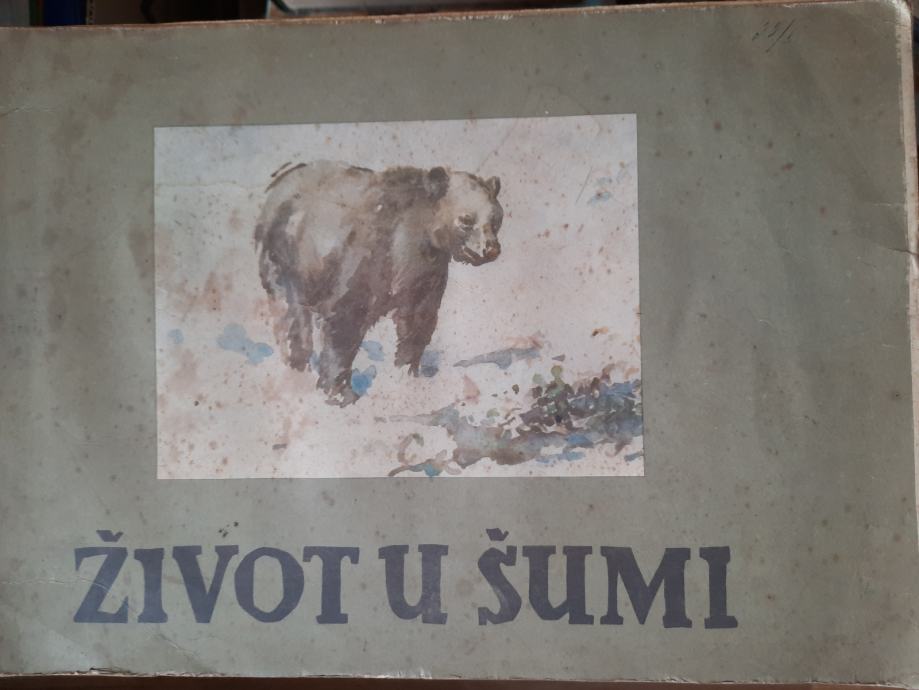 ŽIVOT U ŠUMI