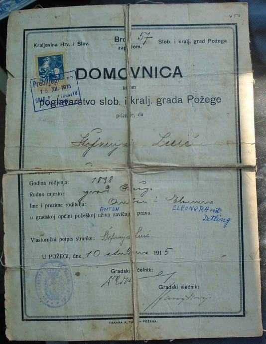 Domovnica slobodnog kraljevskog grada Požege iz 1915 godine