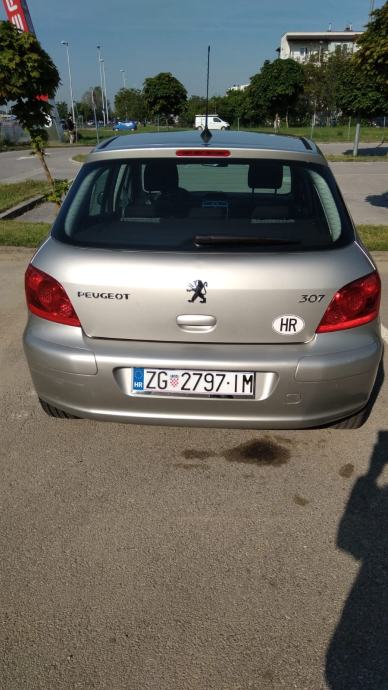 Peugeot 307 1 4 16V 2006 God