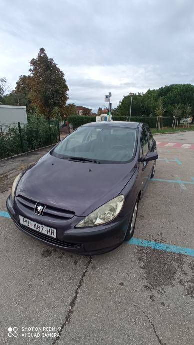 Peugeot 307 1,4