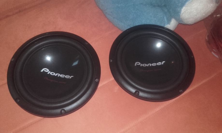 Pioneer champion series 10"