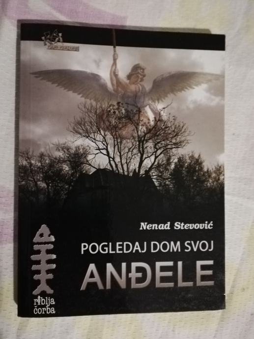 pogledaj dom svoj anđele riblja čorba raritet knjiga