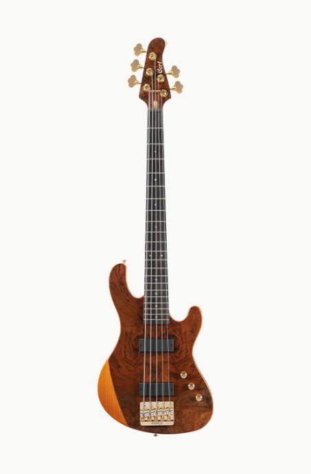 Cort Rithimic Jeff Berlin 5-string Bas gitara