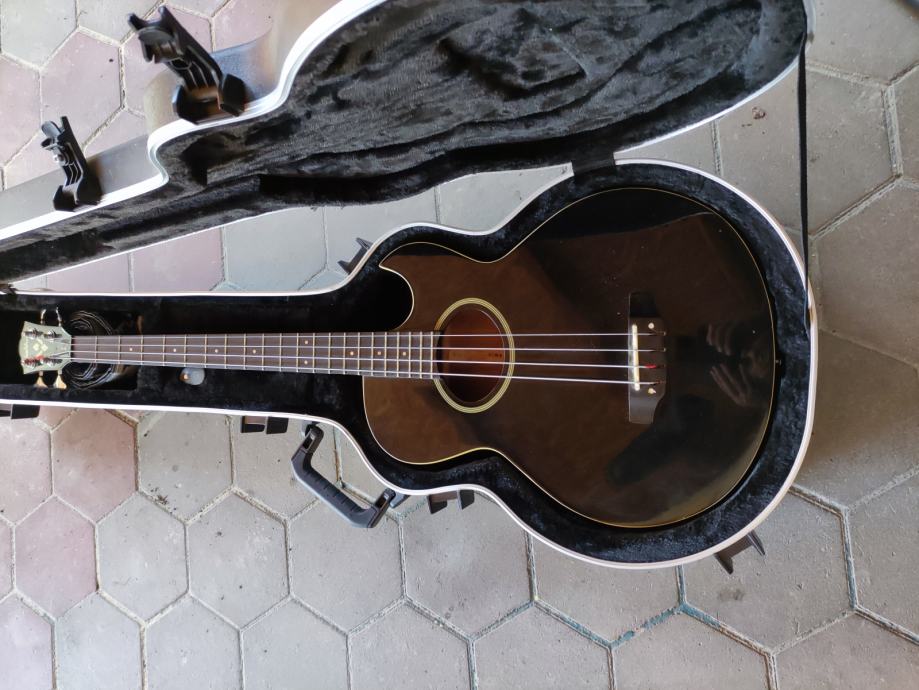 Washburn AB-10