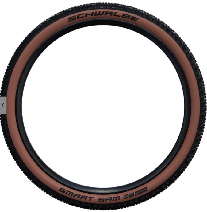 Schwalbe Smart Sam DD RaceGuard Addix E-50