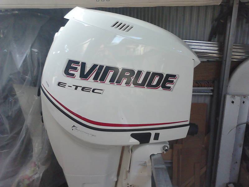 Evinrude E-tec 225