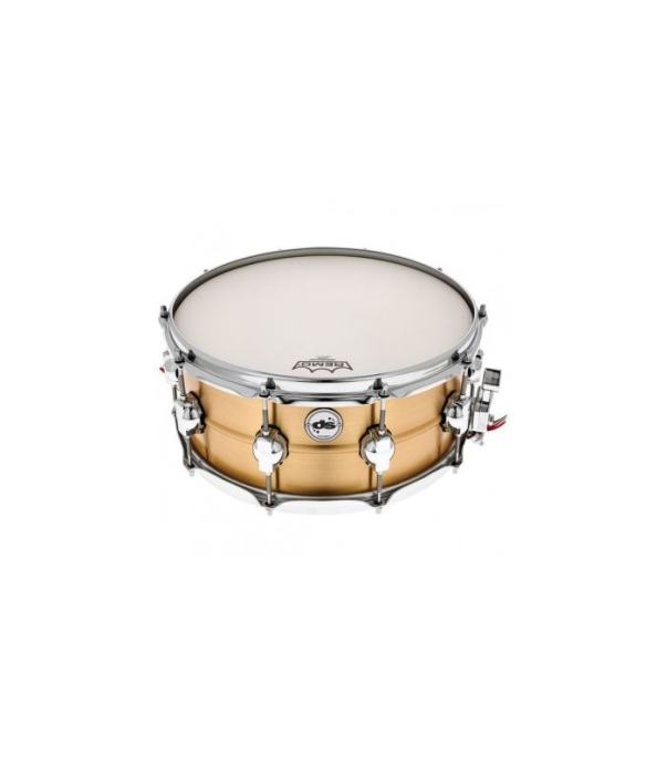 Ds Drum Snare 14x6 Brass SD1406