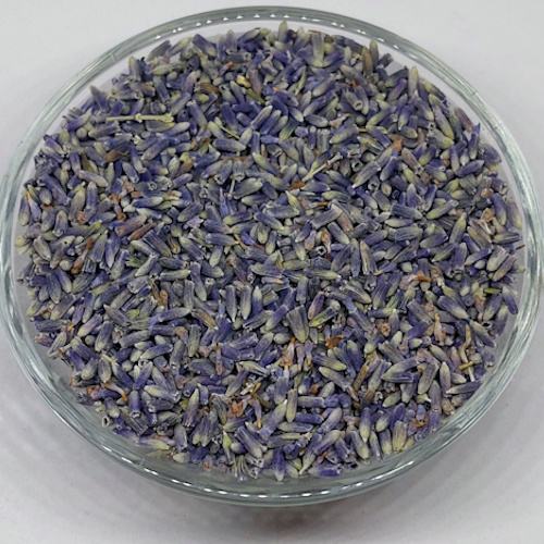 Lavandin cvijet (Lavandula hybrida) iz ekološkog uzgoja