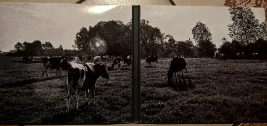 pink floyd atom heart mother cd cover