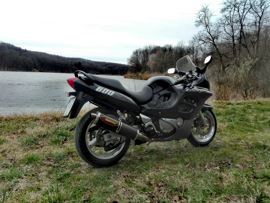 Suzuki gsxf 600