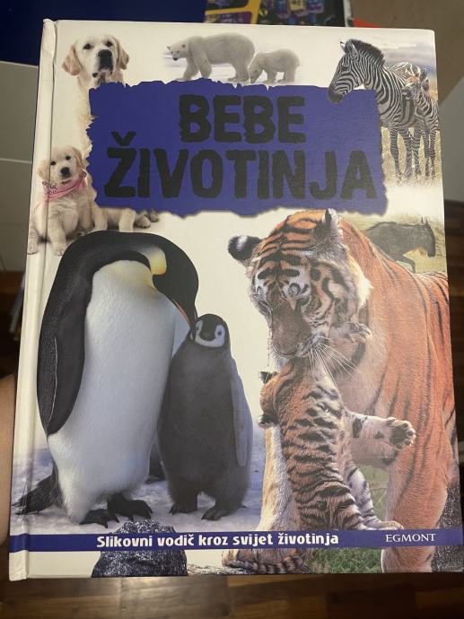 Bebe životinja, enciklopedija, za dob +4