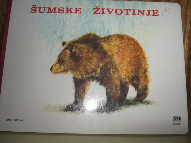 ŠUMSKE ŽIVOTINJE