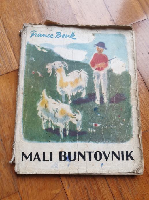 France Bevk - Mali buntovnik