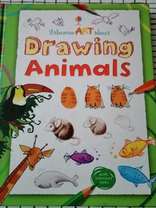 Drawing Animals Usborne Art ideas