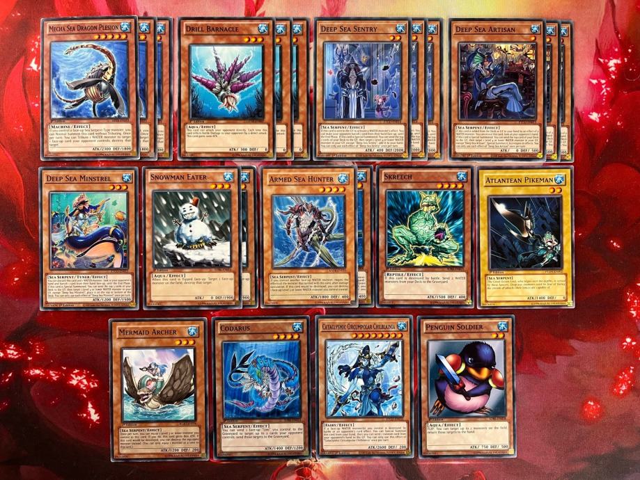 Yu-Gi-Oh! Water Deck #21