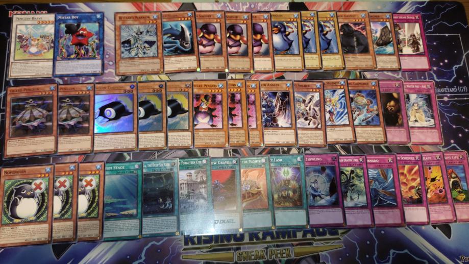 Yugioh Penguin Rio Kastle Complete Deck 42 Cards