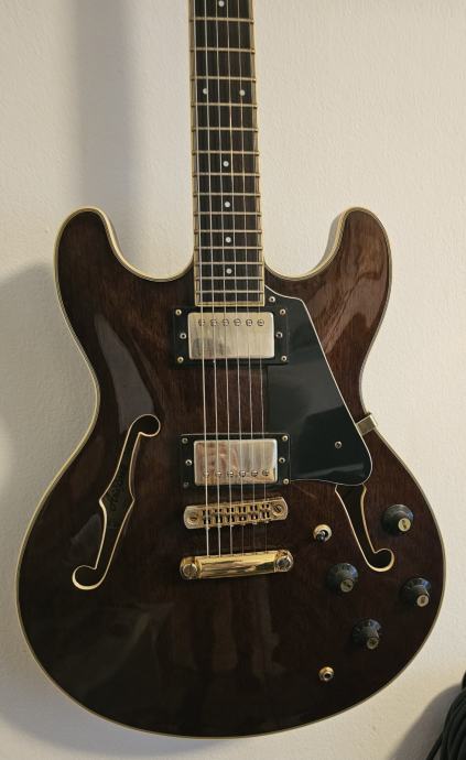 Aria Pro II semi-hollow električna gitara