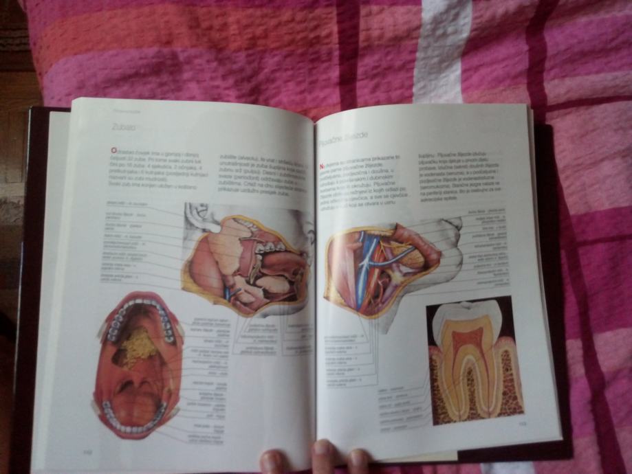 Anatomski Atlas I Anatomija I Fiziologija Tijela (uđbenik-leksikon)