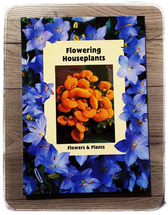 FLOWERING HOUSEPLANTS Cvjetne biljke