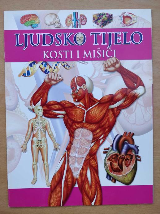 Ljudsko tijelo 2 - Kosti i mišići