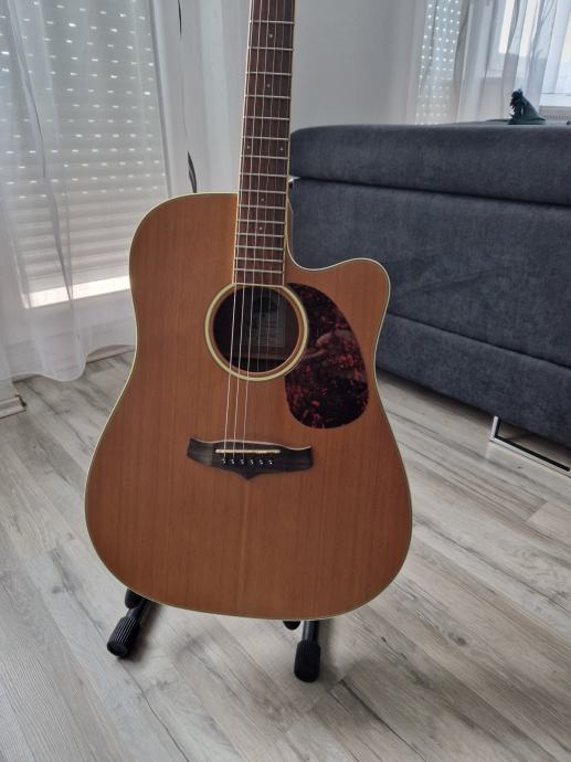 Tanglewood Winterleaf TW10