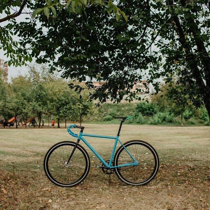 55cm fixie