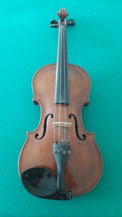 Violina