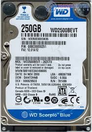 WESTERN DIGITAL-WD2500BEVT-2,5" HDD-250GB  NOVO GARANCIJA