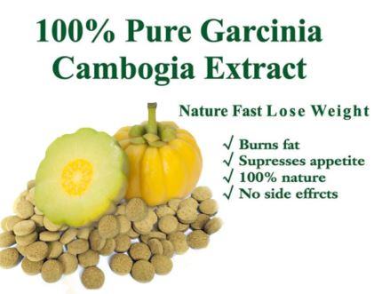 Garcinia Cambogia Extreme Fat Burner 100 tabletica