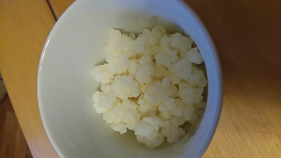 TIBETANSKA GLJIVA - KEFIR