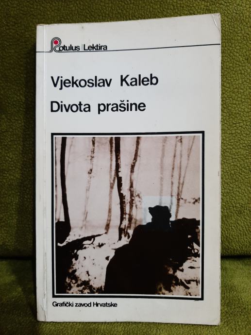 Vjekoslav Kaleb - Divota prašine