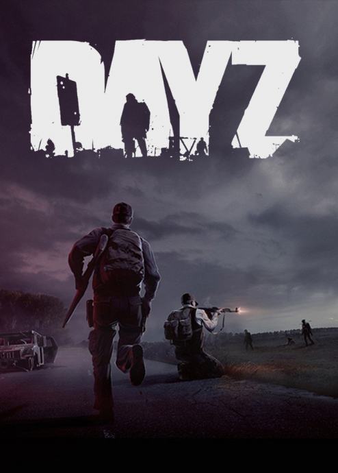 DayZ STEAM Key