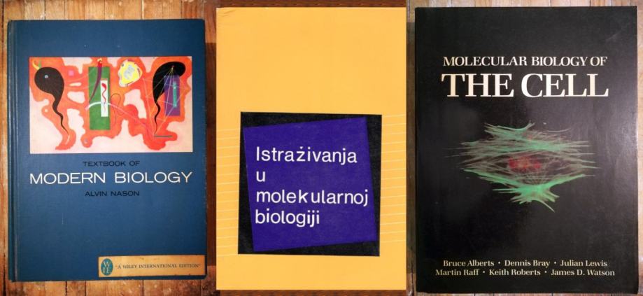 Lot biologija. Molekularna biologija. Stanica.