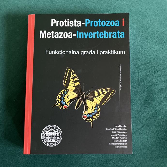 Protista-protozoa i Metazoa–invertebrata