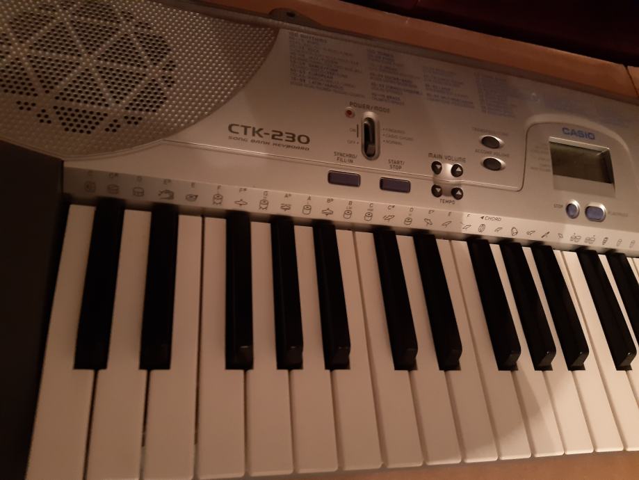 Casio ctk 230