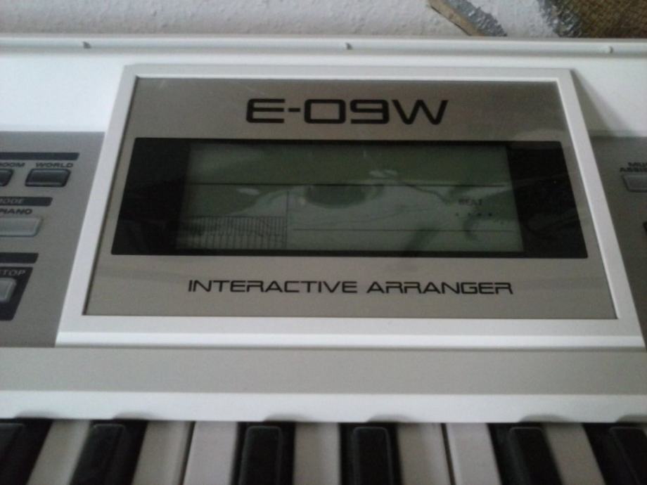 Roland e-09W