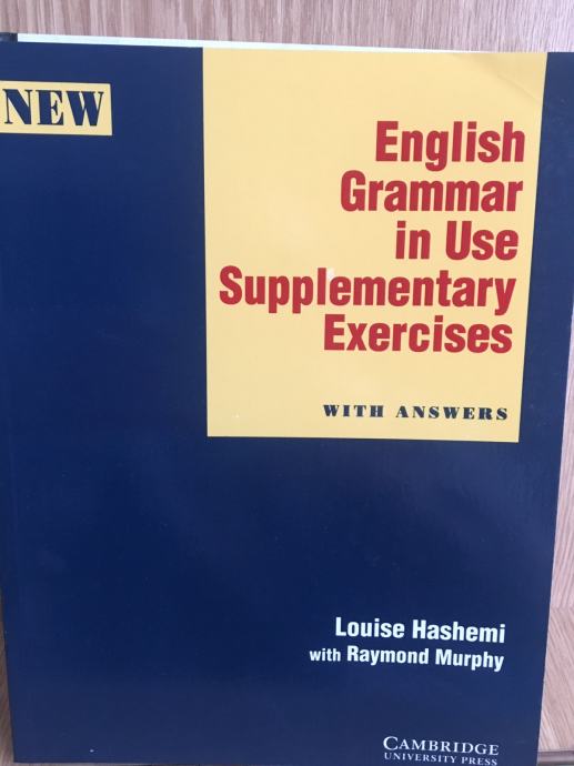 english grammar in use supplementary exercises 3rd edition pdf