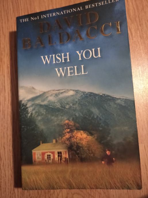 david-baldacci-wish-you-well