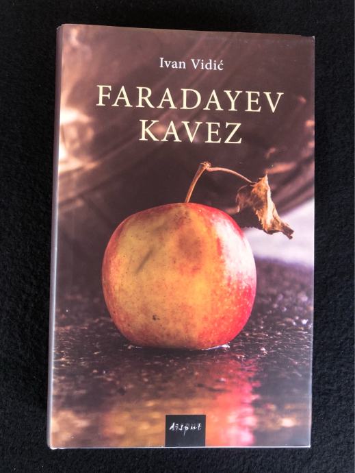 Faradayev kavez - Ivan Vidić