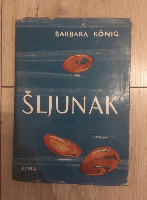 Šljunak - Barbara Koenig