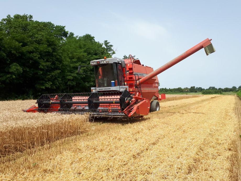 Massey Ferguson 36 RS