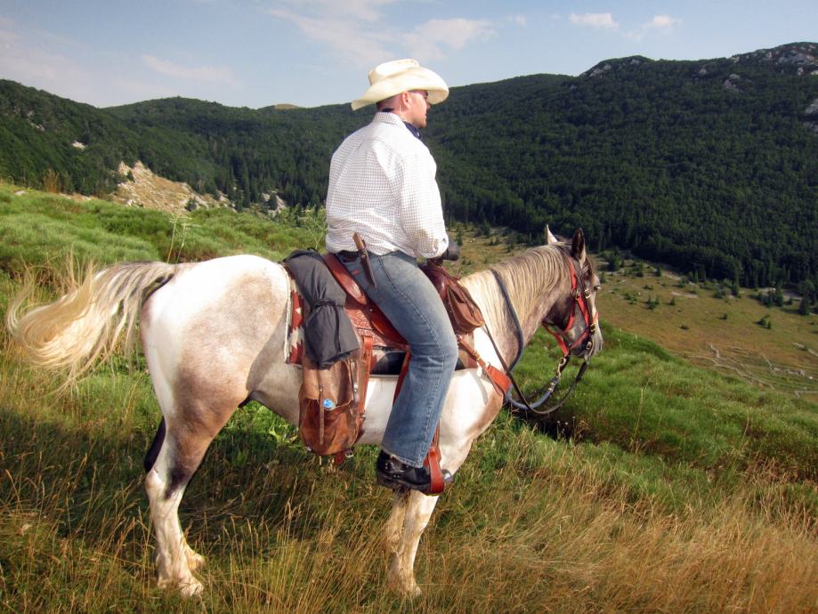 Ako trebate pouzdanog terenskog konja...